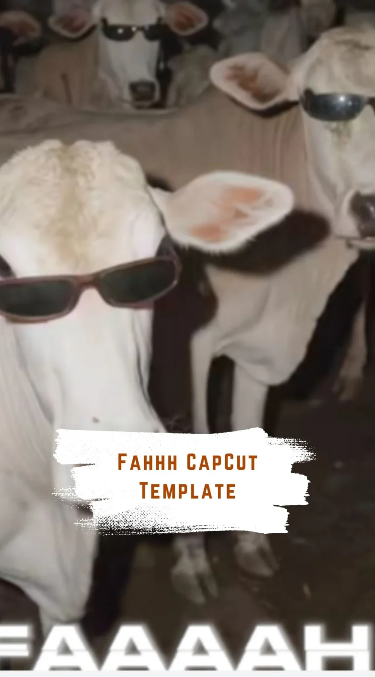 CapCut Fahhh Template