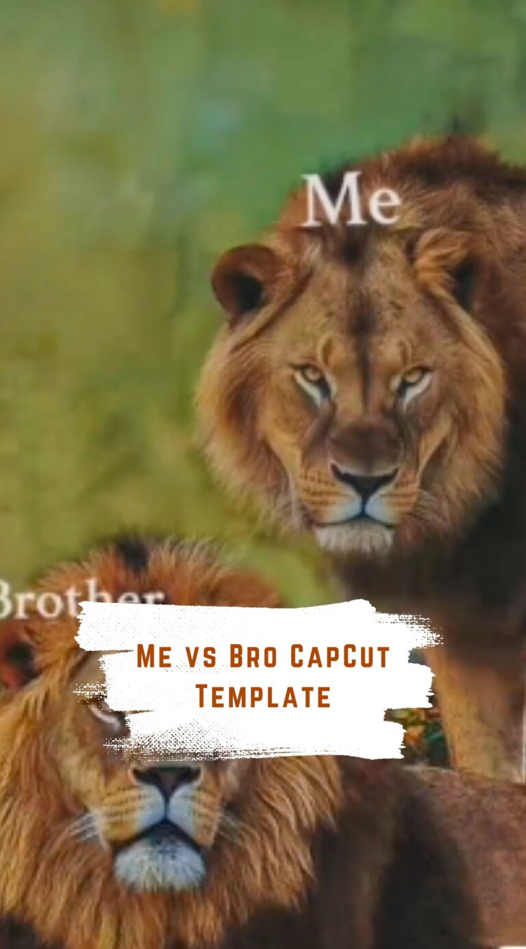 CapCut Me vs Bro Template